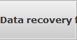Data recovery for Greer data